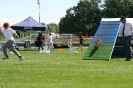 Bundessiegerprüfung Agility in Haunstetten am 22.06.2008  _193