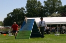 Bundessiegerprüfung Agility in Haunstetten am 22.06.2008  _197