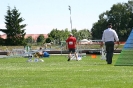 Bundessiegerprüfung Agility in Haunstetten am 22.06.2008  _198