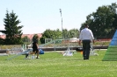 Bundessiegerprüfung Agility in Haunstetten am 22.06.2008  _201