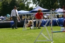 Bundessiegerprüfung Agility in Haunstetten am 22.06.2008  _205