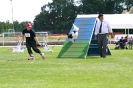 Bundessiegerprüfung Agility in Haunstetten am 22.06.2008  _206