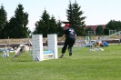 Bundessiegerprüfung Agility in Haunstetten am 22.06.2008  _207