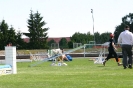 Bundessiegerprüfung Agility in Haunstetten am 22.06.2008  _208