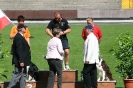 Bundessiegerprüfung Agility in Haunstetten am 22.06.2008  _238