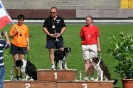 Bundessiegerprüfung Agility in Haunstetten am 22.06.2008  _240