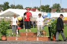 Bundessiegerprüfung Agility in Haunstetten am 22.06.2008  _252