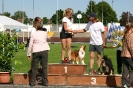 Bundessiegerprüfung Agility in Haunstetten am 22.06.2008  _259