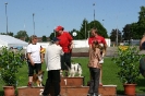 Bundessiegerprüfung Agility in Haunstetten am 22.06.2008  _263