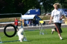 Bundessiegerprüfung Agility in Haunstetten am 22.06.2008  _49