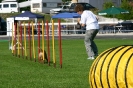 Bundessiegerprüfung Agility in Haunstetten am 22.06.2008  _51