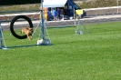 Bundessiegerprüfung Agility in Haunstetten am 22.06.2008  _52