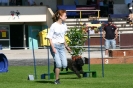 Bundessiegerprüfung Agility in Haunstetten am 22.06.2008  _53