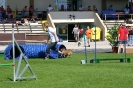 Bundessiegerprüfung Agility in Haunstetten am 22.06.2008  _56