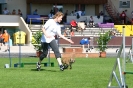 Bundessiegerprüfung Agility in Haunstetten am 22.06.2008  _57