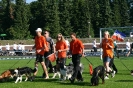 Bundessiegerprüfung Agility in Haunstetten am 22.06.2008  _5