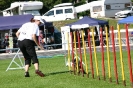 Bundessiegerprüfung Agility in Haunstetten am 22.06.2008  _63