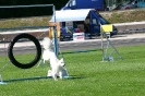 Bundessiegerprüfung Agility in Haunstetten am 22.06.2008  _71