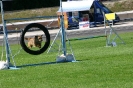 Bundessiegerprüfung Agility in Haunstetten am 22.06.2008  _74