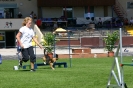 Bundessiegerprüfung Agility in Haunstetten am 22.06.2008  _75