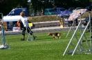 Bundessiegerprüfung Agility in Haunstetten am 22.06.2008  _78