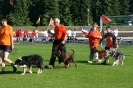 Bundessiegerprüfung Agility in Haunstetten am 22.06.2008  _7