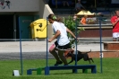 Bundessiegerprüfung Agility in Haunstetten am 22.06.2008  _80