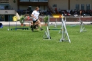 Bundessiegerprüfung Agility in Haunstetten am 22.06.2008  _84