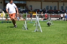 Bundessiegerprüfung Agility in Haunstetten am 22.06.2008  _88