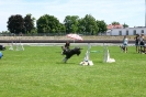 Bundessiegerprüfung Agility in Haunstetten am 22.06.2008  _91