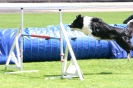 Bundessiegerprüfung Agility in Haunstetten am 22.06.2008  _99