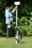 Deutsche Meisterschaft Obedience 2009 _11