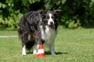 Deutsche Meisterschaft Obedience 2009 _2