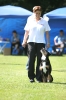 Deutsche Meisterschaft Obedience 2009 _6