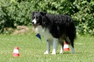 Deutsche Meisterschaft Obedience 2009 _9