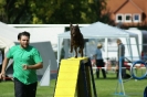 Deutsche Vereinsmeisterschaft Agility am 30./31.08.2008 _107