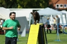 Deutsche Vereinsmeisterschaft Agility am 30./31.08.2008 _108