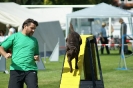 Deutsche Vereinsmeisterschaft Agility am 30./31.08.2008 _109