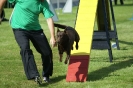 Deutsche Vereinsmeisterschaft Agility am 30./31.08.2008 _110