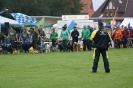 Deutsche Vereinsmeisterschaft Agility am 30./31.08.2008 _11