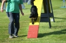 Deutsche Vereinsmeisterschaft Agility am 30./31.08.2008 _121