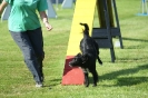 Deutsche Vereinsmeisterschaft Agility am 30./31.08.2008 _122