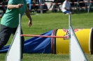 Deutsche Vereinsmeisterschaft Agility am 30./31.08.2008 _123