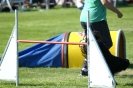 Deutsche Vereinsmeisterschaft Agility am 30./31.08.2008 _125