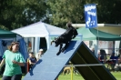 Deutsche Vereinsmeisterschaft Agility am 30./31.08.2008 _127