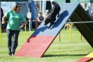 Deutsche Vereinsmeisterschaft Agility am 30./31.08.2008 _128