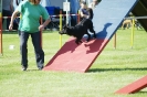 Deutsche Vereinsmeisterschaft Agility am 30./31.08.2008 _129