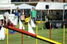 Deutsche Vereinsmeisterschaft Agility am 30./31.08.2008 _132