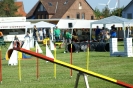 Deutsche Vereinsmeisterschaft Agility am 30./31.08.2008 _133