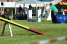 Deutsche Vereinsmeisterschaft Agility am 30./31.08.2008 _134